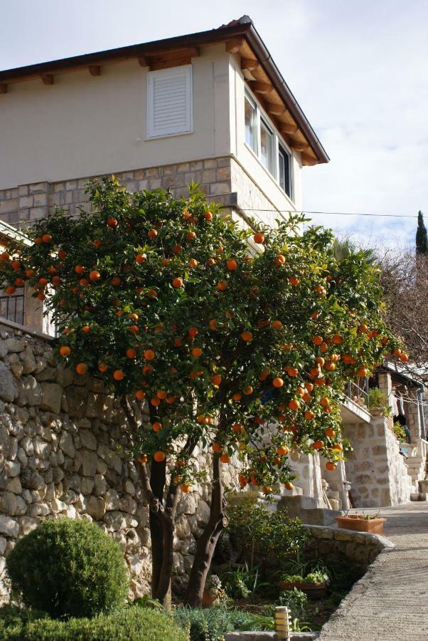 Apartment Three Oranges