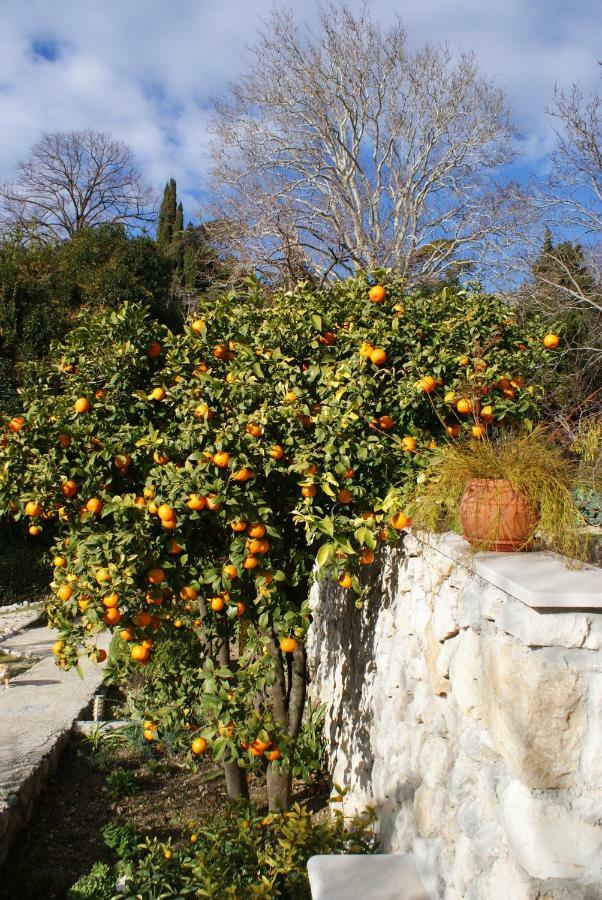 Three Oranges Apartment *